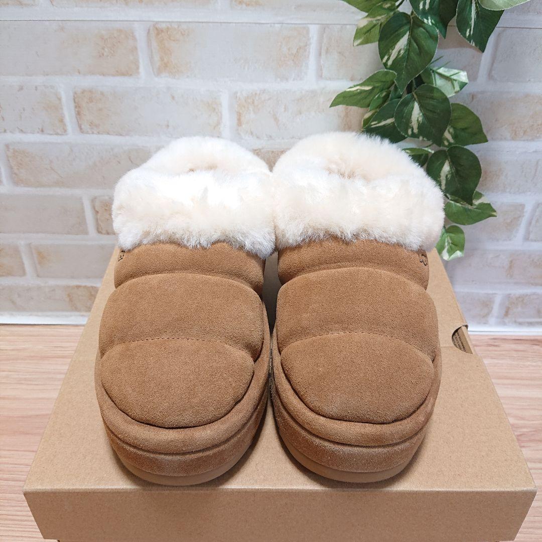 UGG アグ　Tazzlita　タズリータ チェスナット 25cm 厚底 新品