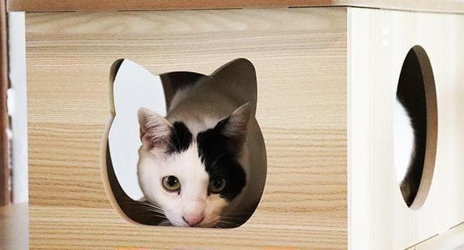 アウトレット1 キャットタワー 木製 宇宙船　展望台　多頭飼い 大型 178cm