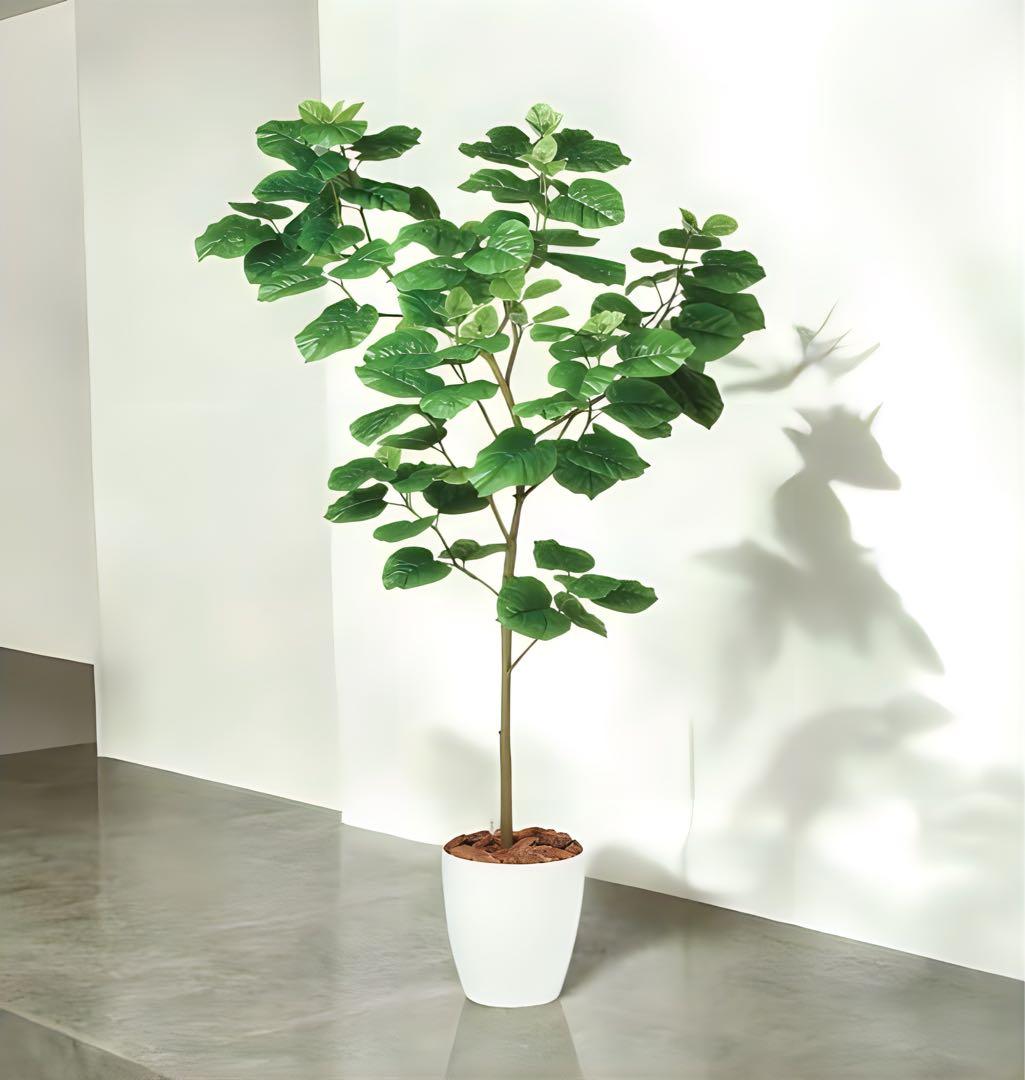 光触媒　人工観葉植物　ウォールグリーン　フェイクグリーン　ウンベラータFST