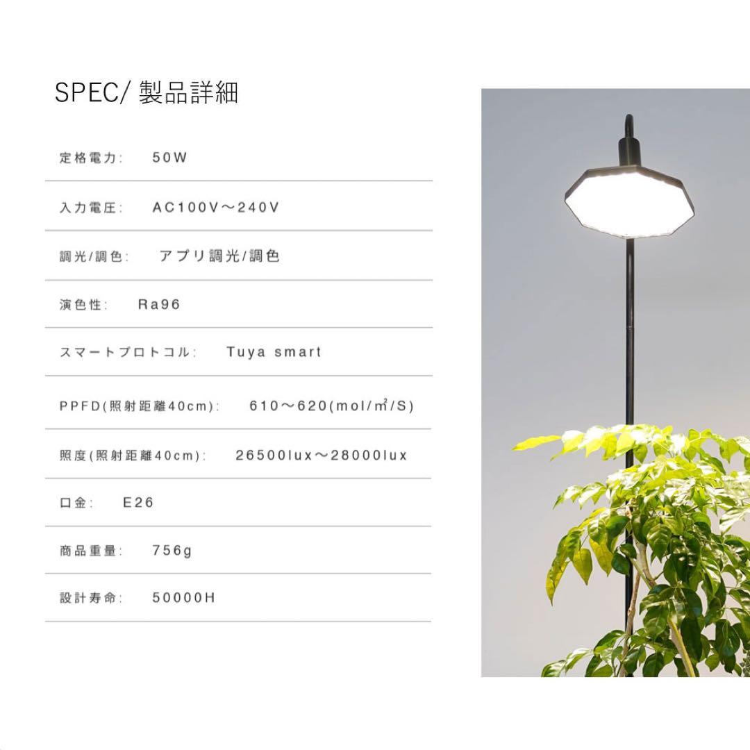 ROKI-OCTAGON-50W ロキ　オクタゴン　ブラック　ゆうゆうメルカリ便