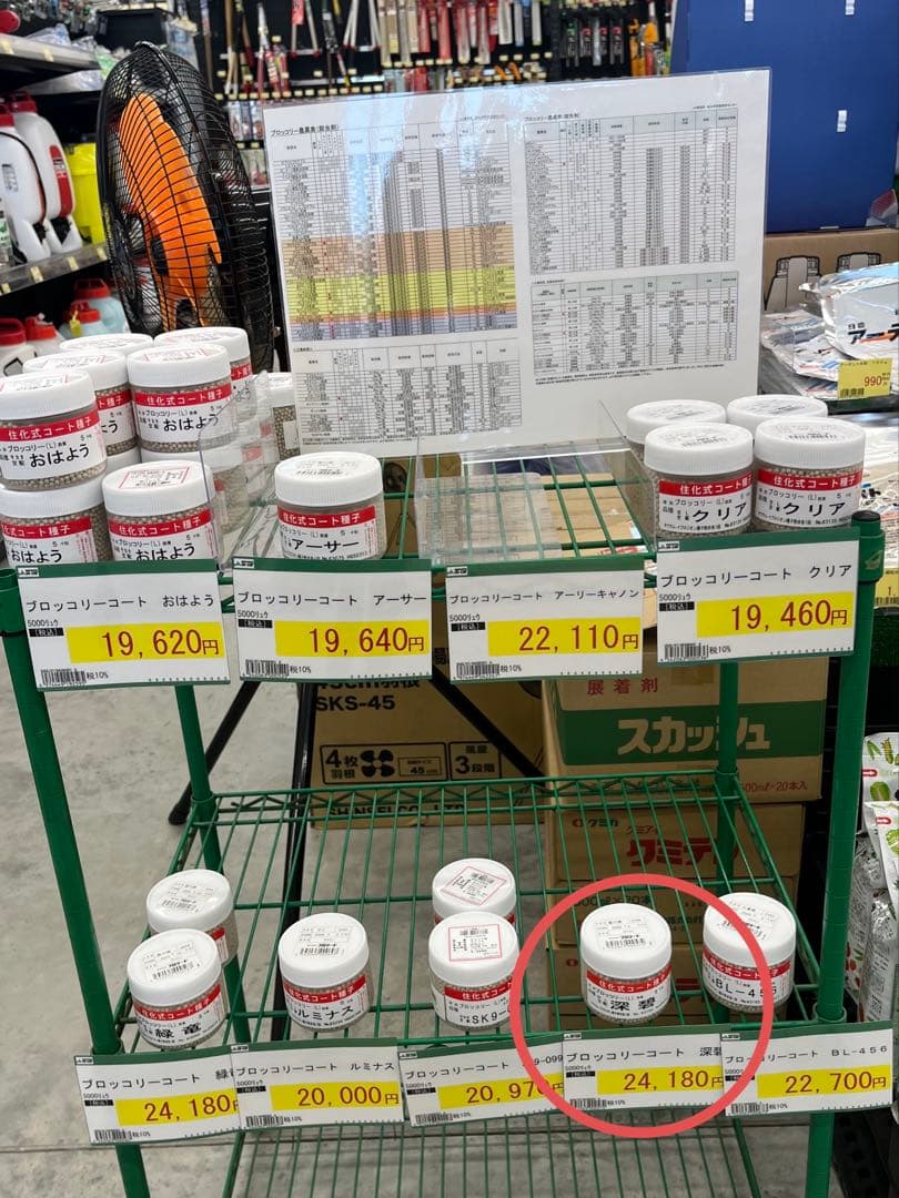 ゆ*ー様 【初オークション価格】1月5日まで。ブロッコリー種子（深碧）5000粒