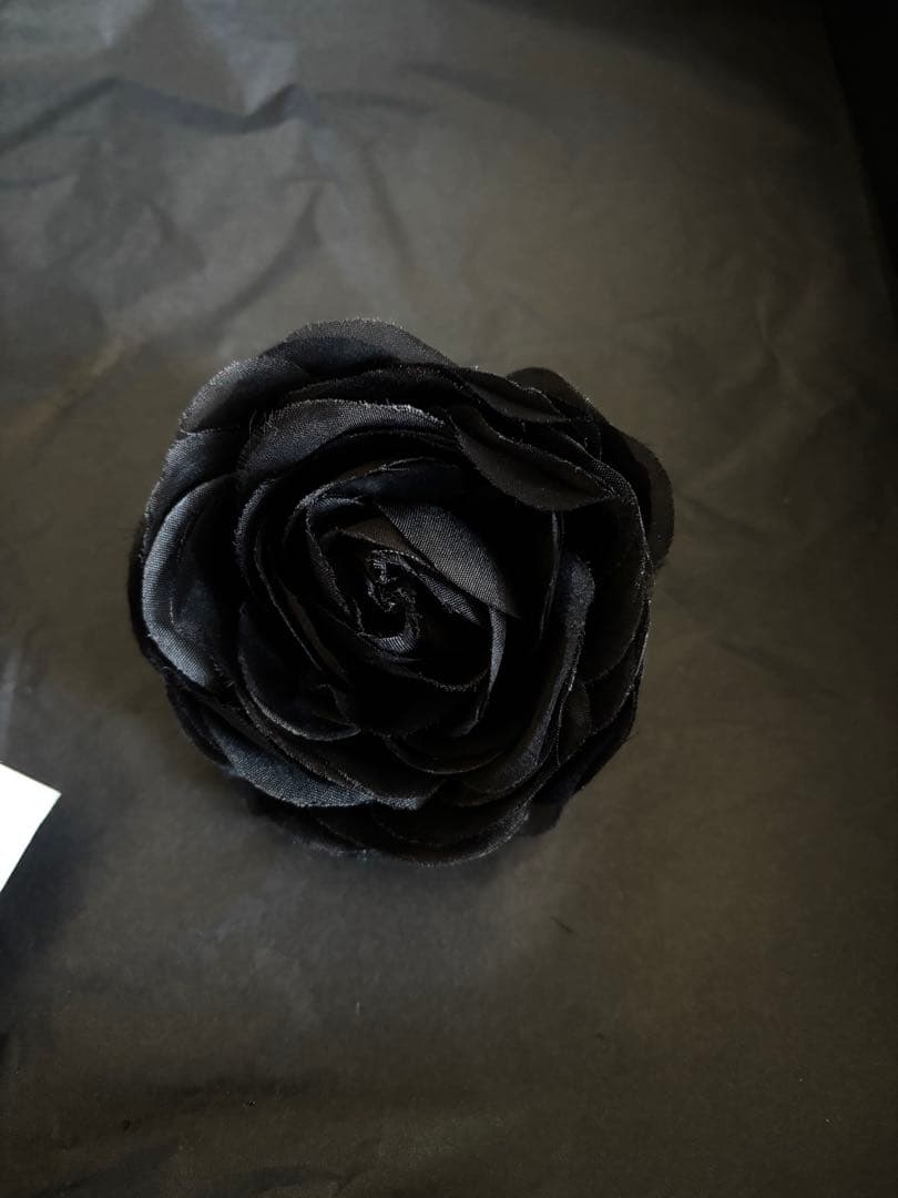 ZARA×ANNA SUI ワンピース