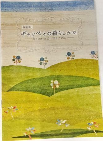 値下げ可能ミニギャベ●40×43㎝●手織●本物●新品未使用 遊牧民が紡ぐギャッベ