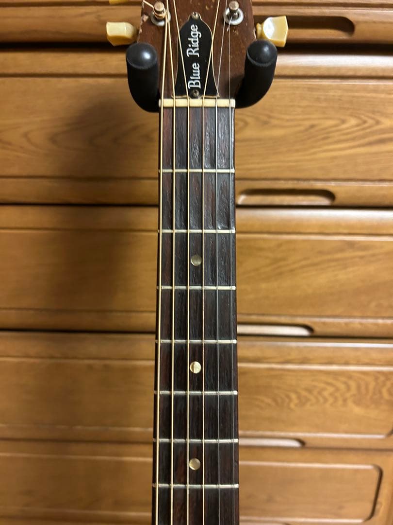 猪*蝶様 Gibson Blue Ridge 1960年後半