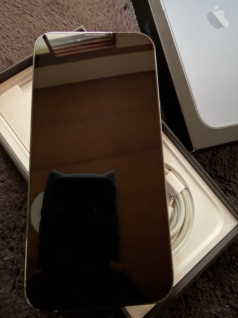 ペリー カモノハシ  Apple iPhone 13 Pro シエラブルー