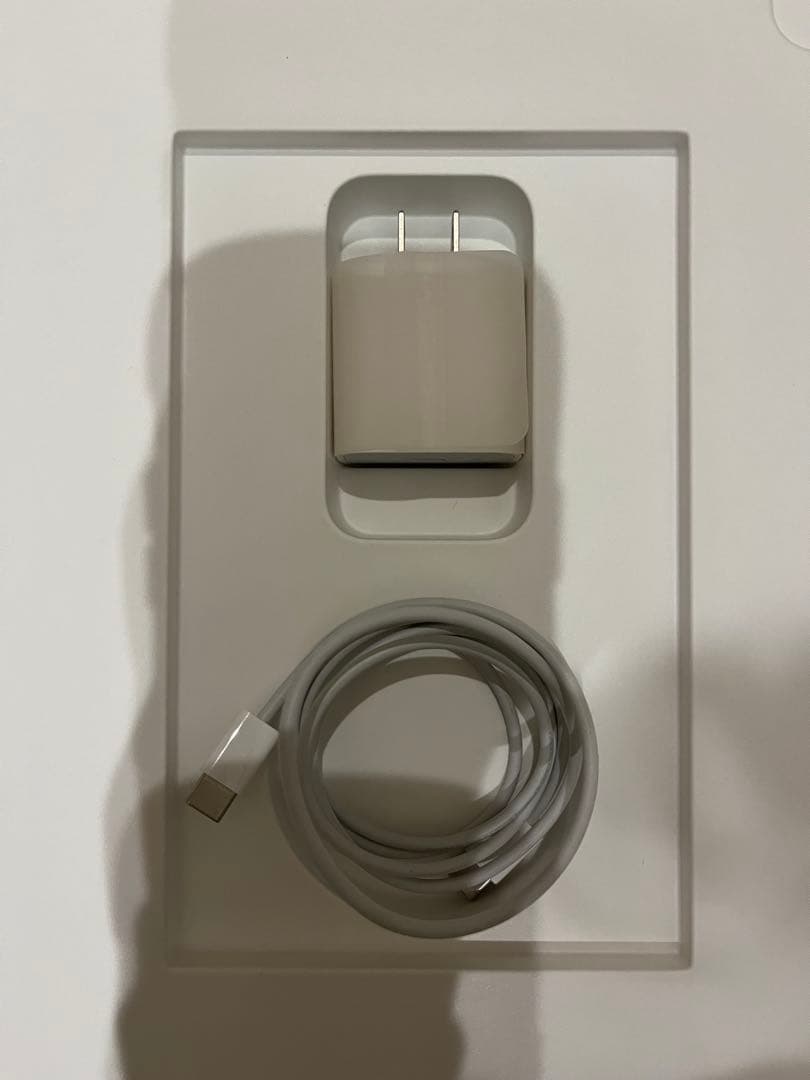 iPad Pro 12.9インチ スペースグレー 本体