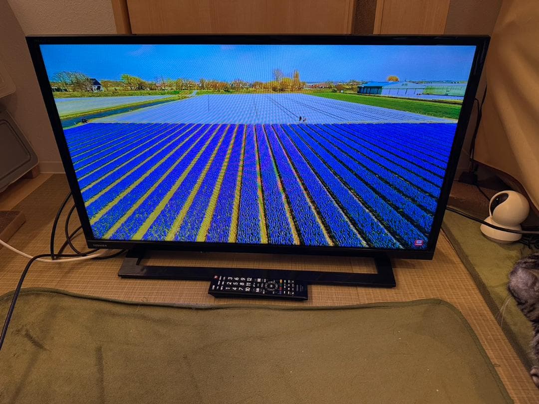 東芝 TOSHIBA　レグザ　テレビ 32型　32S22　2018年製　映り綺麗