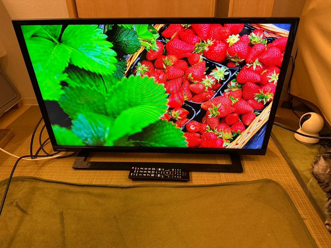 東芝 TOSHIBA　レグザ　テレビ 32型　32S22　2018年製　映り綺麗