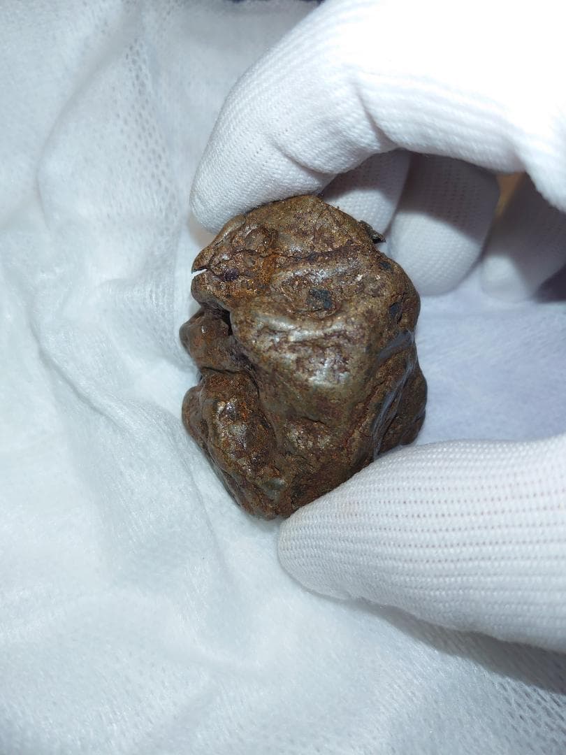 隕石 Sijoté-Alín. 189gr.