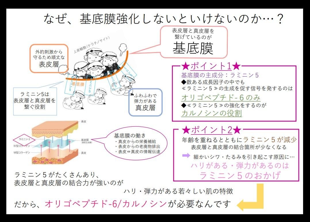 【本物】アクシージア☆GFチャージアドバンス☆美容液導入美肌艶肌水光注射エステ