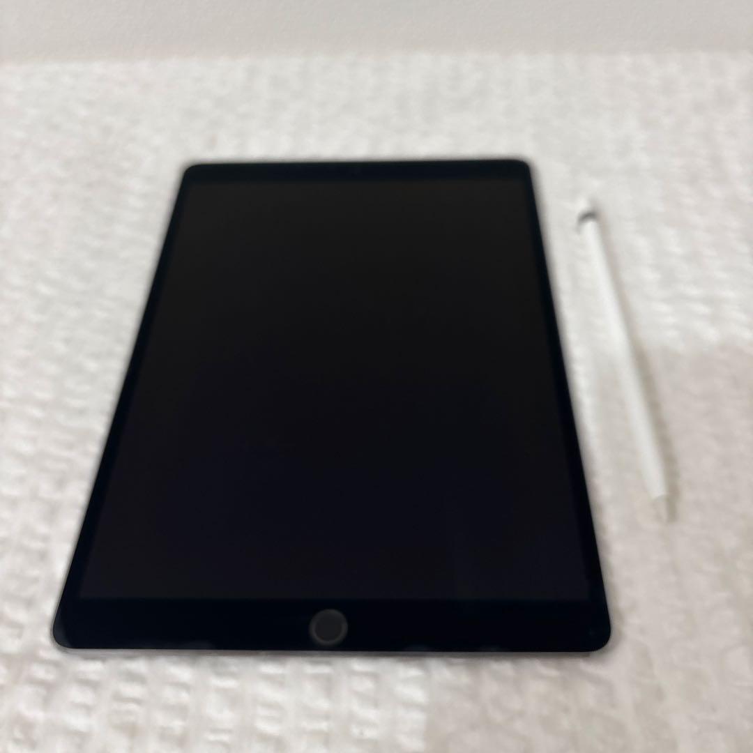 Apple iPad Pro 10.5インチ 純正Apple Pencil付き