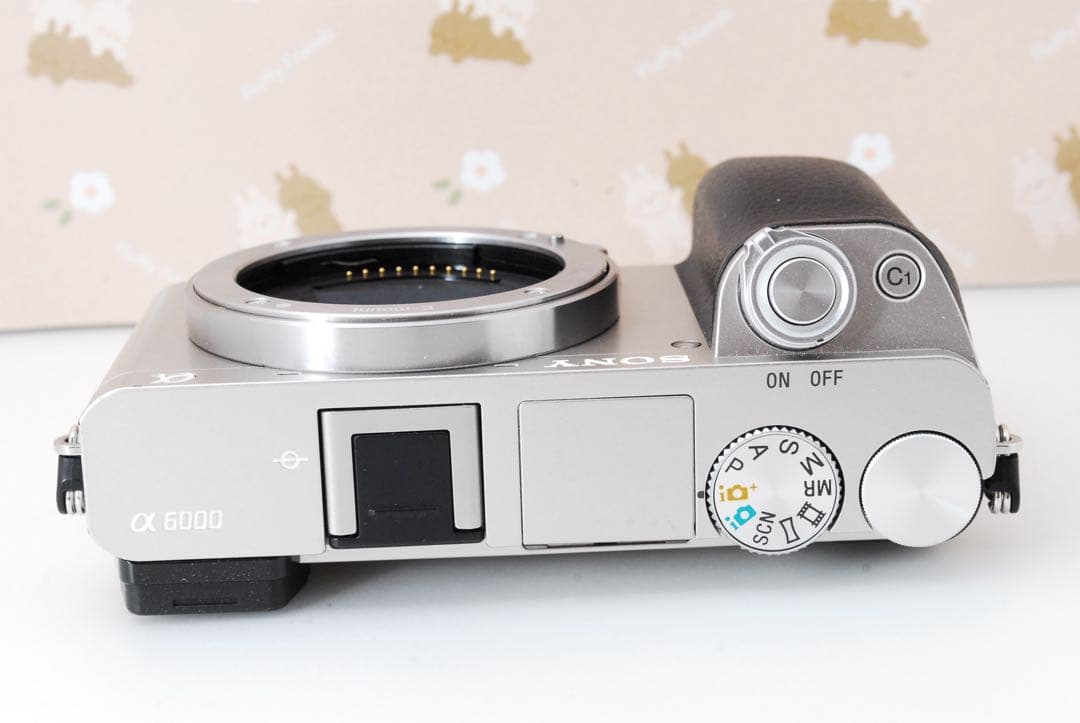 Wi-Fi❤️美品❤️超高画質＆高速AF❤️SONY α6000❤️ミラーレス