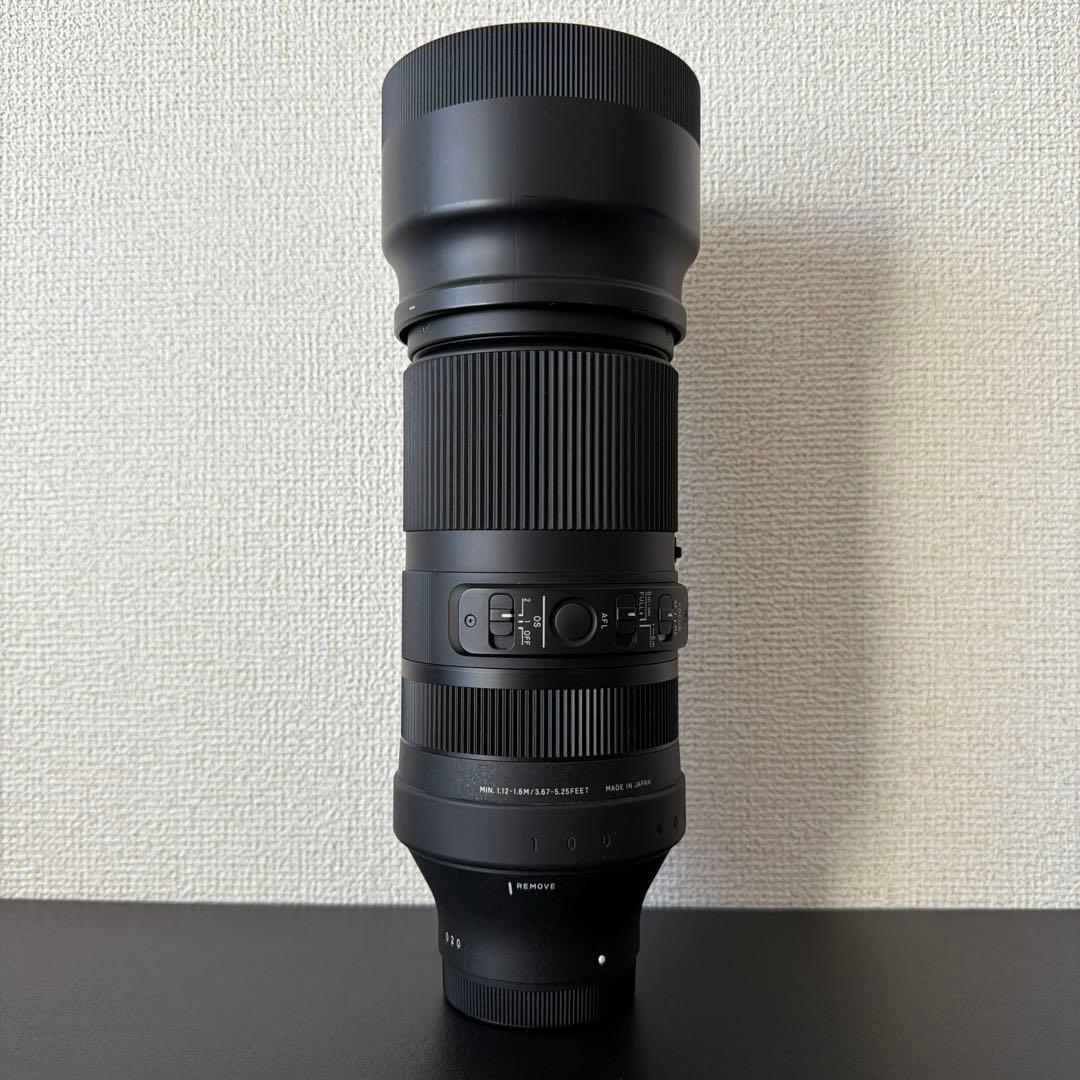SIGMA 100-400mm F5-6.3 DG DN OS SONY α E