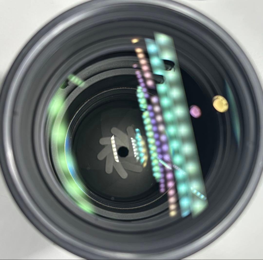 Nikon ED AF-S NIKKOR 80-200 1:2.8 D 訳あり