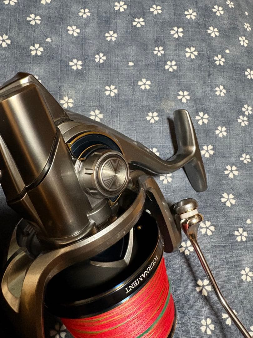 ダイワ　19トーナメントサーフ45 06PE