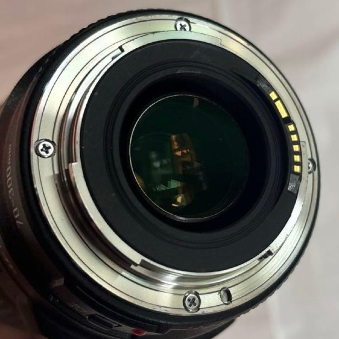 キヤノン　EF70-300mm F4-5.6 IS USM