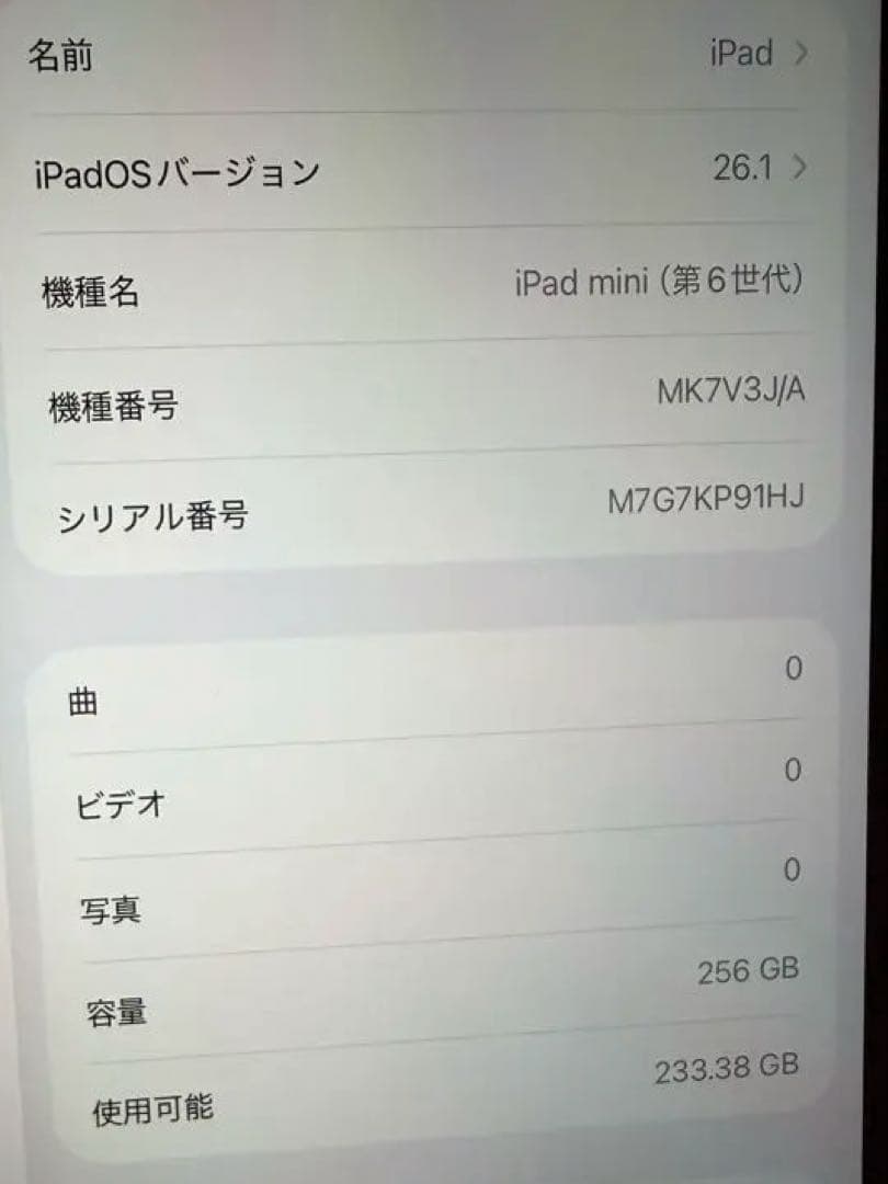 専用です　Apple iPad mini wifi 256GB スターライト