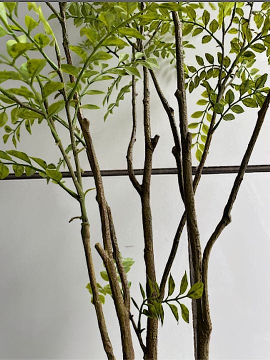 光触媒　人工観葉植物　ウォールグリーン　フェイクグリーン　シマトネリコ140