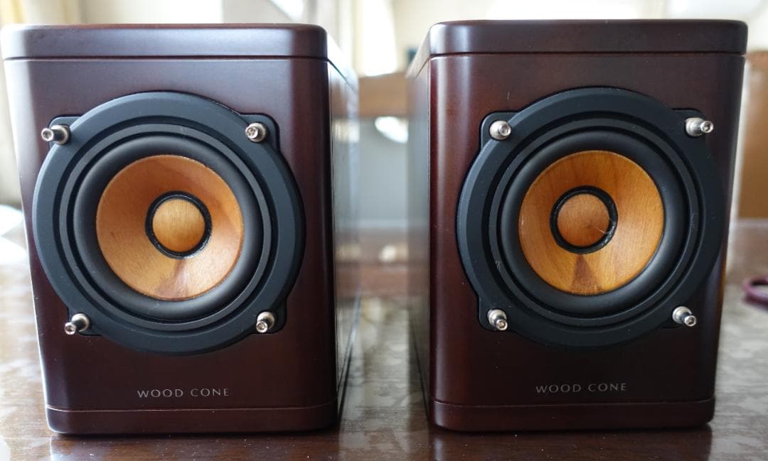 JVC　EX-N1/SP-EXN1 ウッドコーンスピーカー