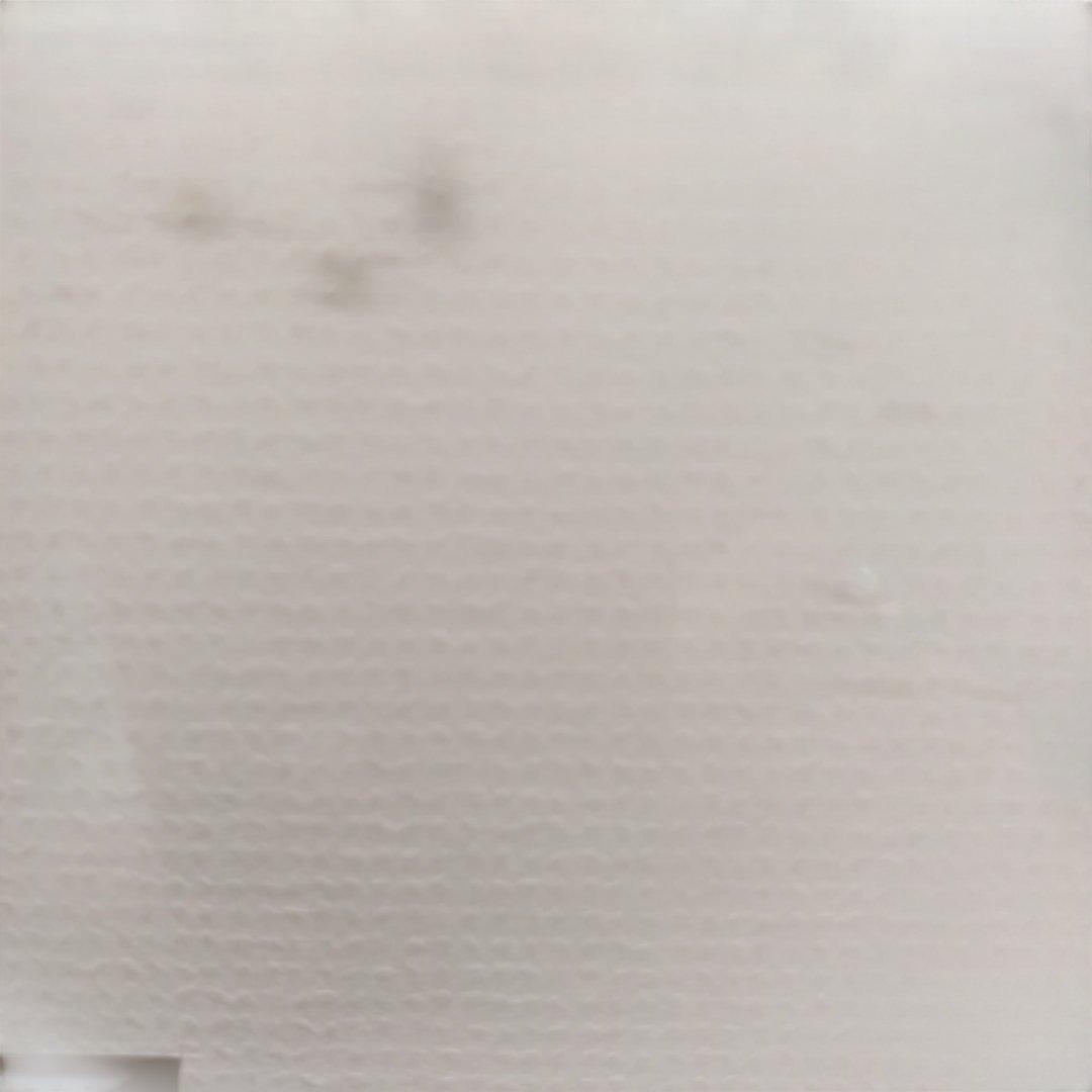 ブライアンウィリアムズTampa エッチング銅版画