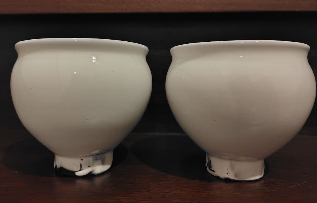 鈴木環　ピジョン　大　×　2個セット