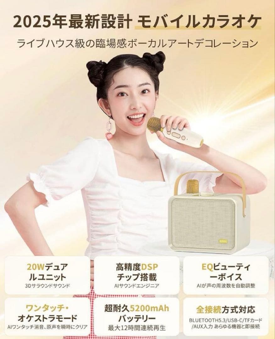 Blueera カラオケセット家庭用 BT マイク 2本 ワイヤレスカラオケ