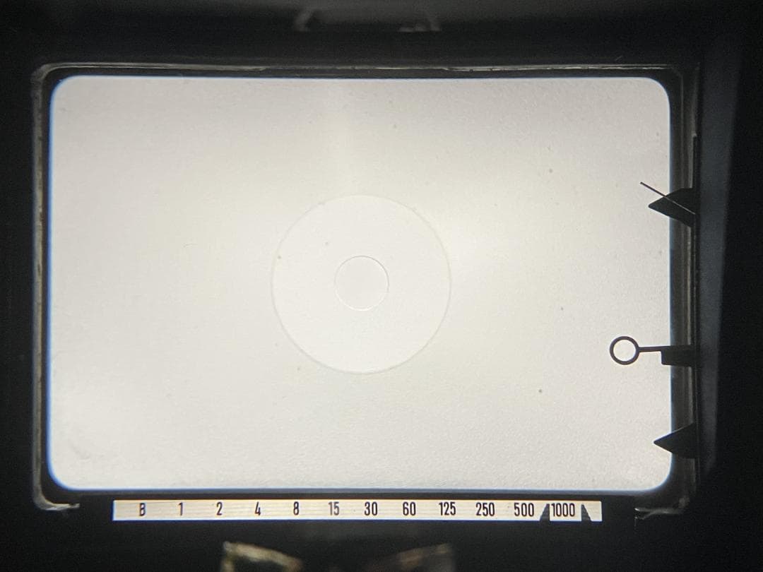 ミノルタ SRT101 & MC ROKKOR-PF 55mm F1.7 #56