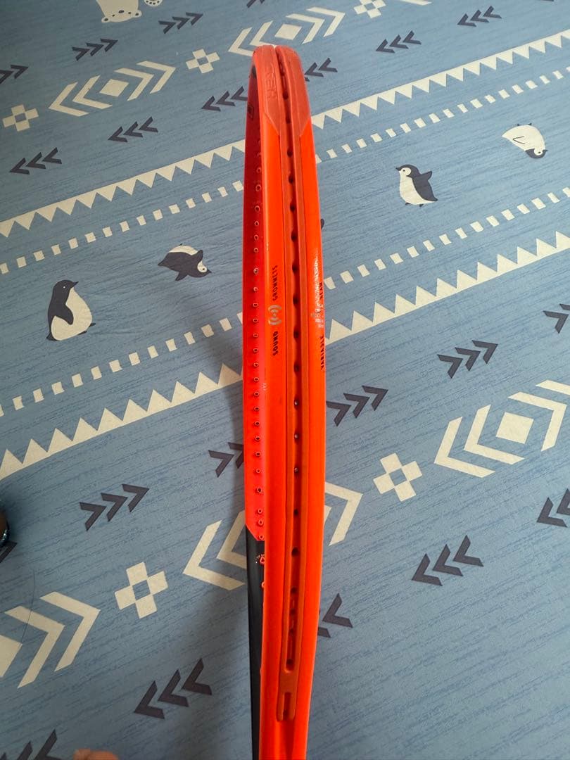 RADICAL PRO 2023年モデル