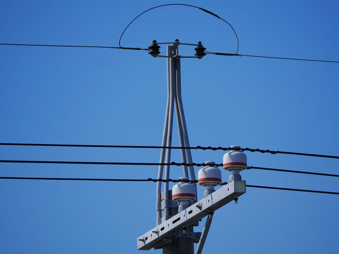 紫*花様 Panasonic LEICA DG VARIO-ELMAR 100-