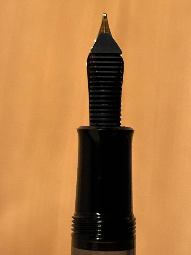 Pelikan ペリカン 万年筆 M バイエル