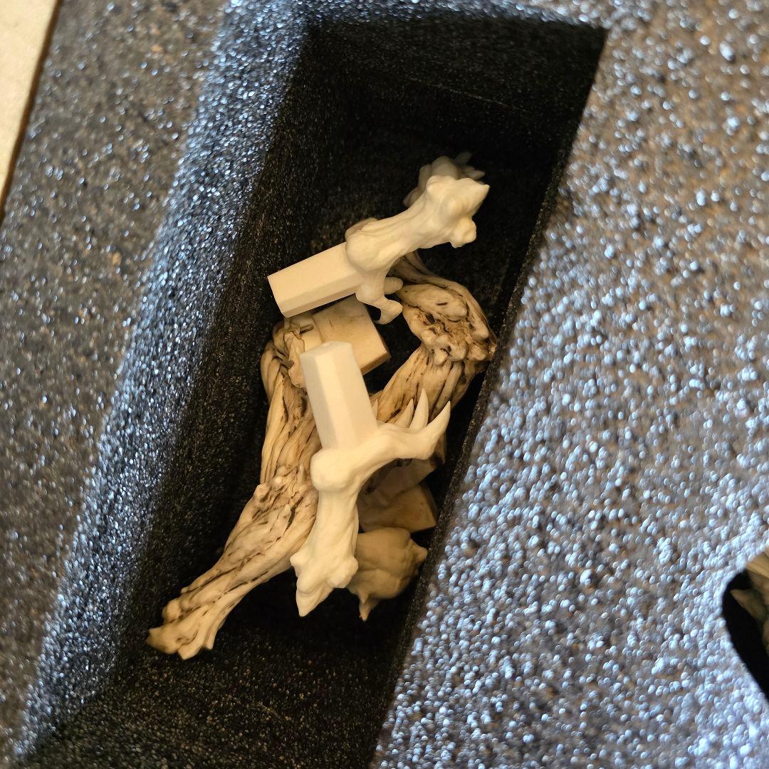 地啼龍アンイシュワルダ　ガレージキット