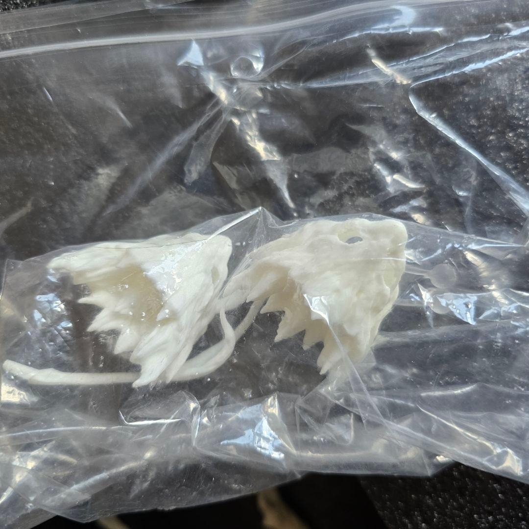 地啼龍アンイシュワルダ　ガレージキット