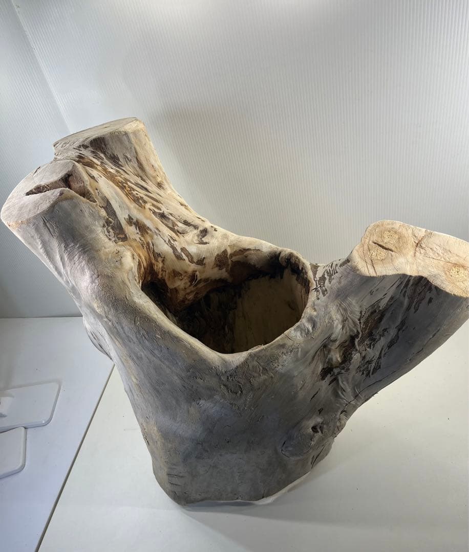 r86特大流木 アク抜き済み 爬虫類シェルター インテリア オブジェ テラリウム