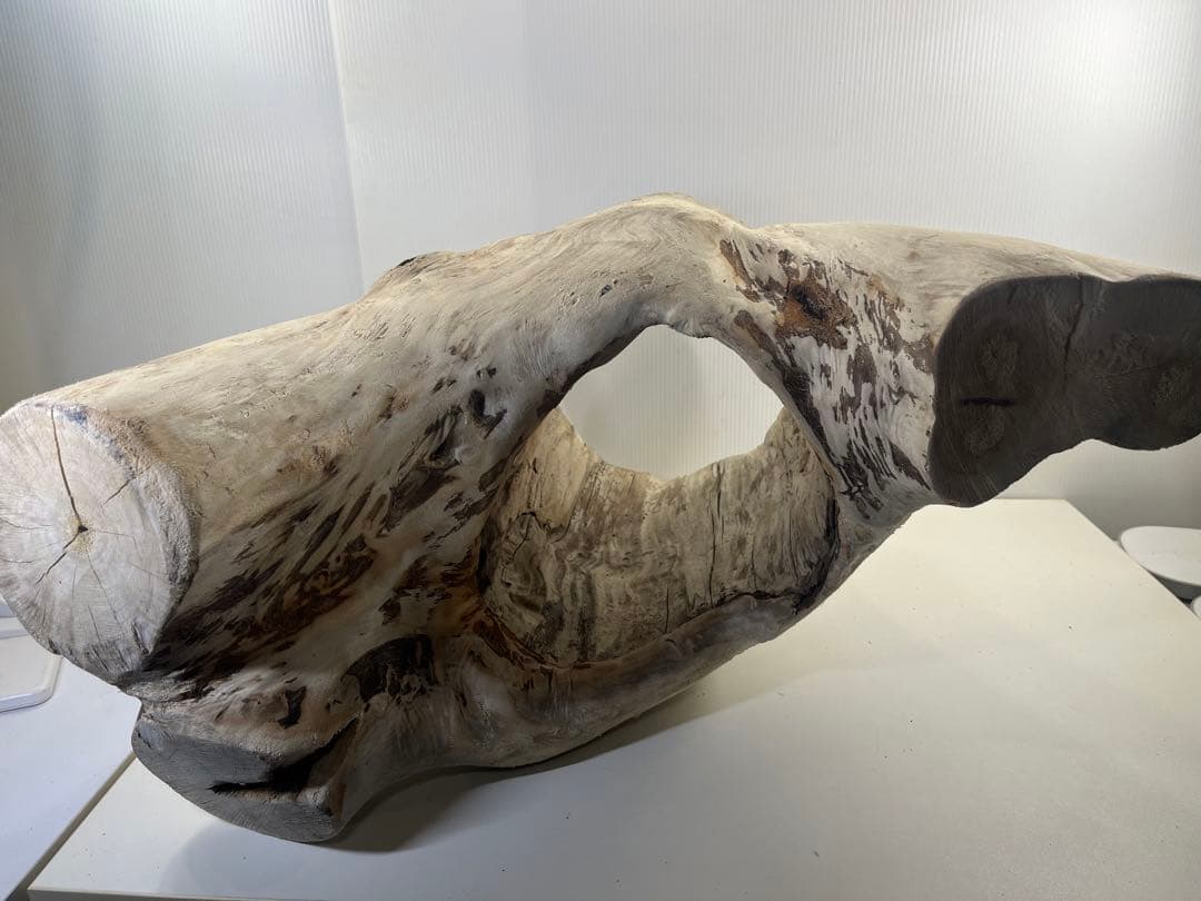 r86特大流木 アク抜き済み 爬虫類シェルター インテリア オブジェ テラリウム