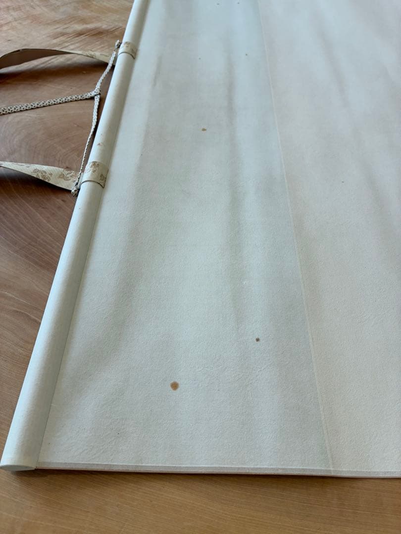 掛け軸 掛軸 菅楯彦 春郊 共箱 2重箱