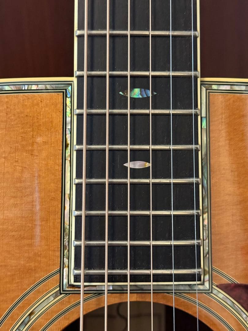 S-yairi YD-42/Nオール単板純正ハードケース付き