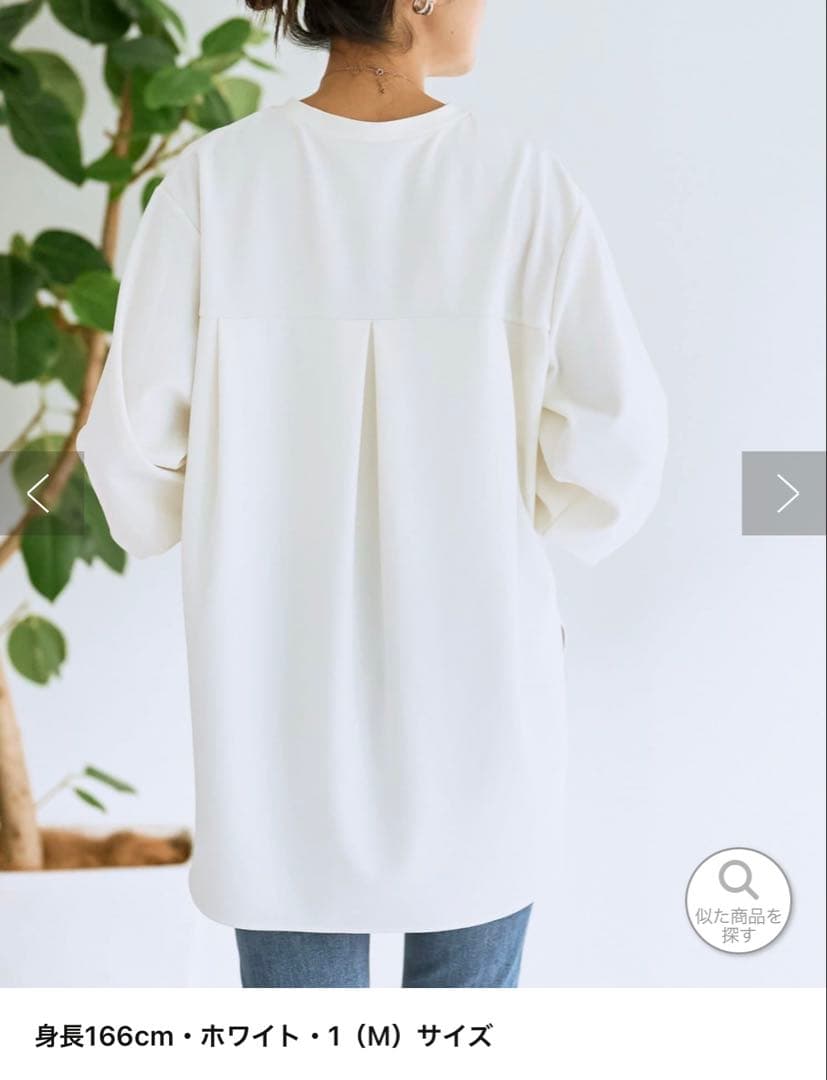 ビアズリー Tブラウス