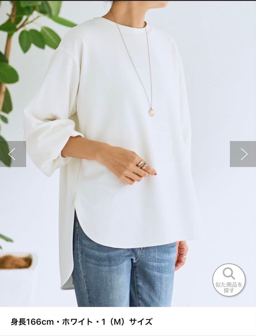 ビアズリー Tブラウス