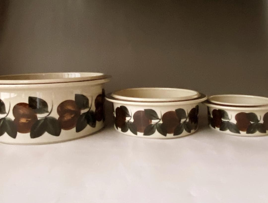 ARABIA アラビア Ruija ルイヤ ルイージャ 口径23cm 特大ボウル