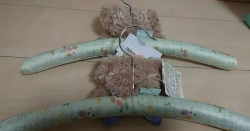 スプリングインブルーム　シェリーメイ　ステラルー　香港ディズニー　ハンガー　シー