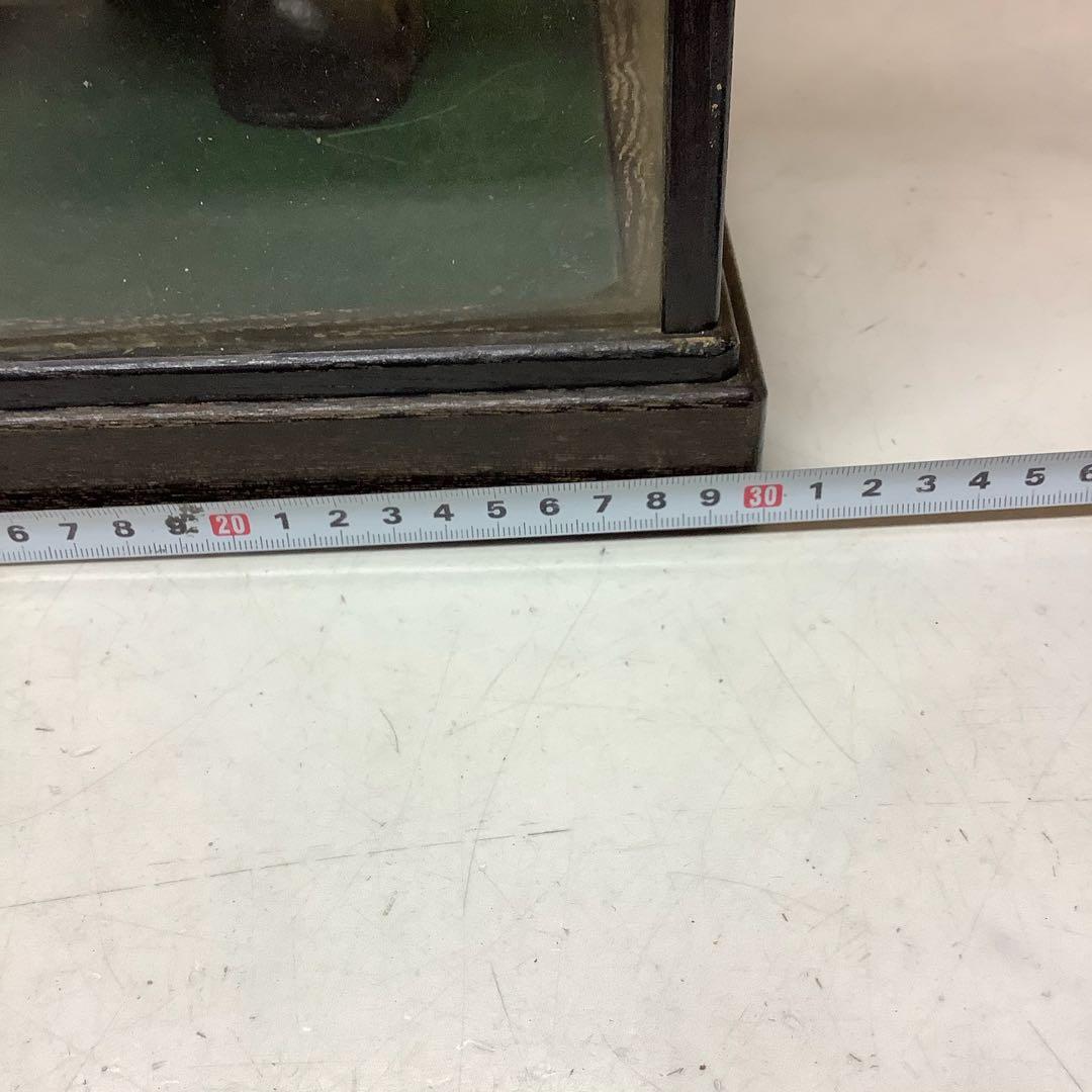 虎のガラスケース大型迫力置物 昭和レトロ 飾り 展示インテリア用品(P80)