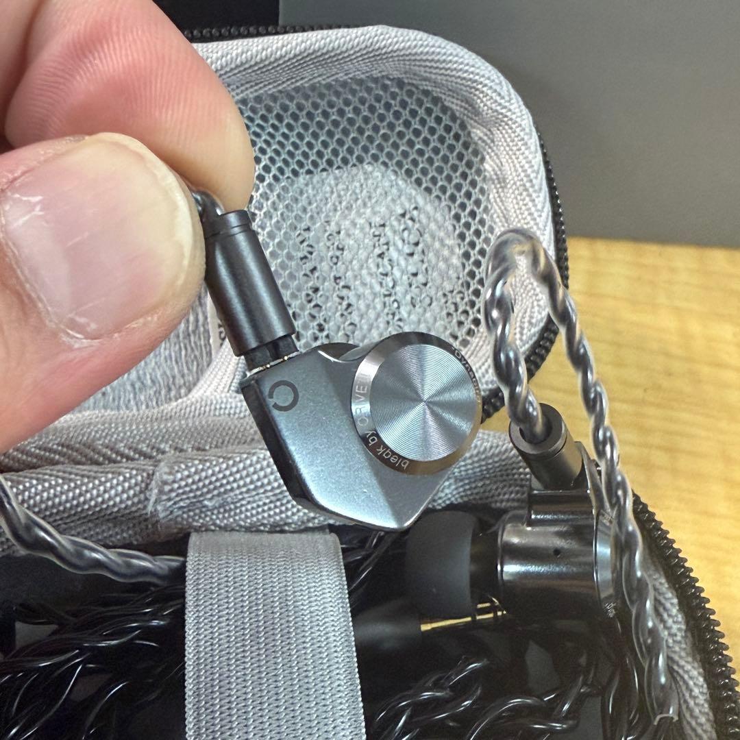 ORIVETI bleqk Dynabird ほぼ新品 イヤピ未使用