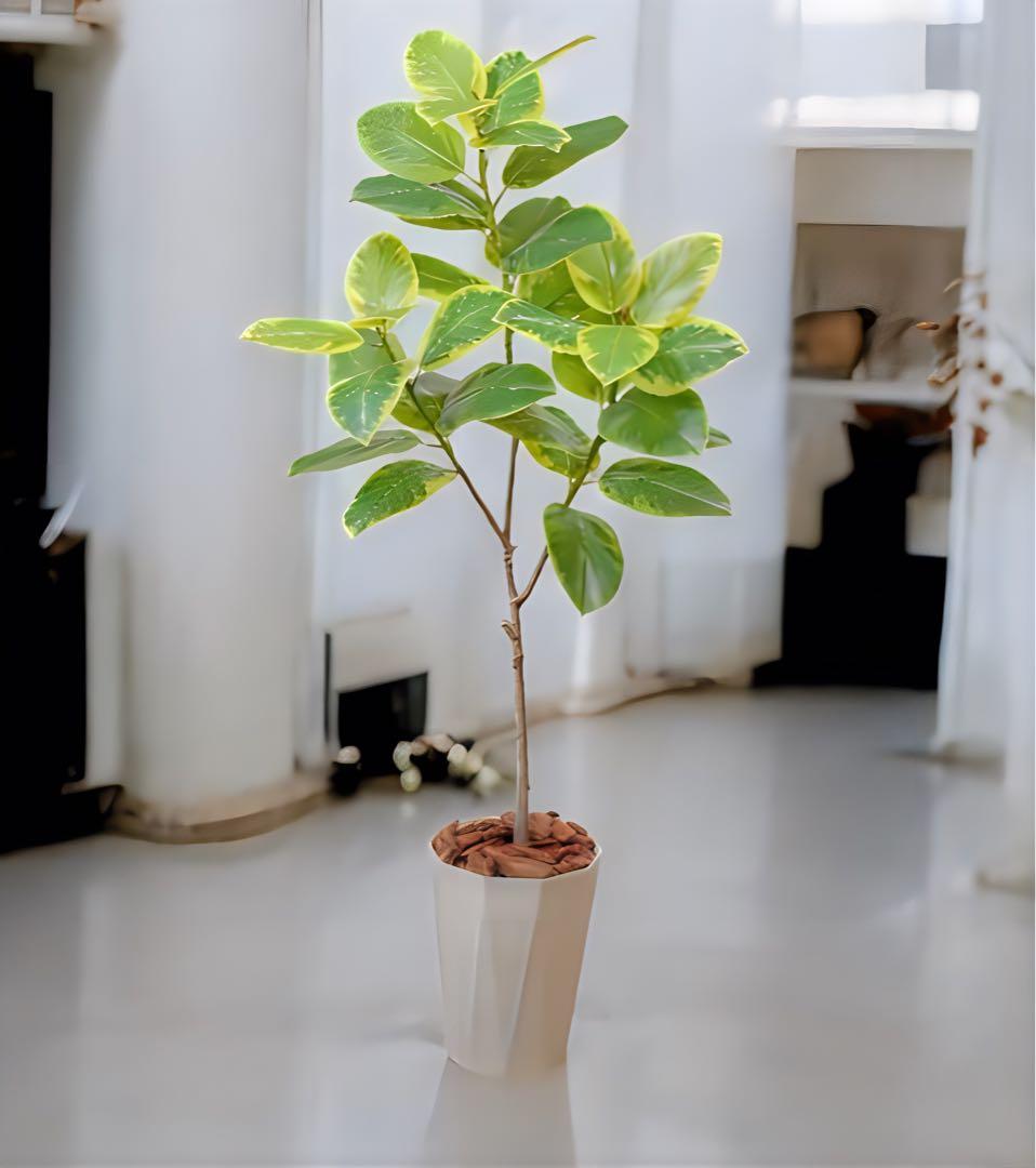 光触媒　人工観葉植物　ウォールグリーン　フェイクグリーン　アルテシマ170170