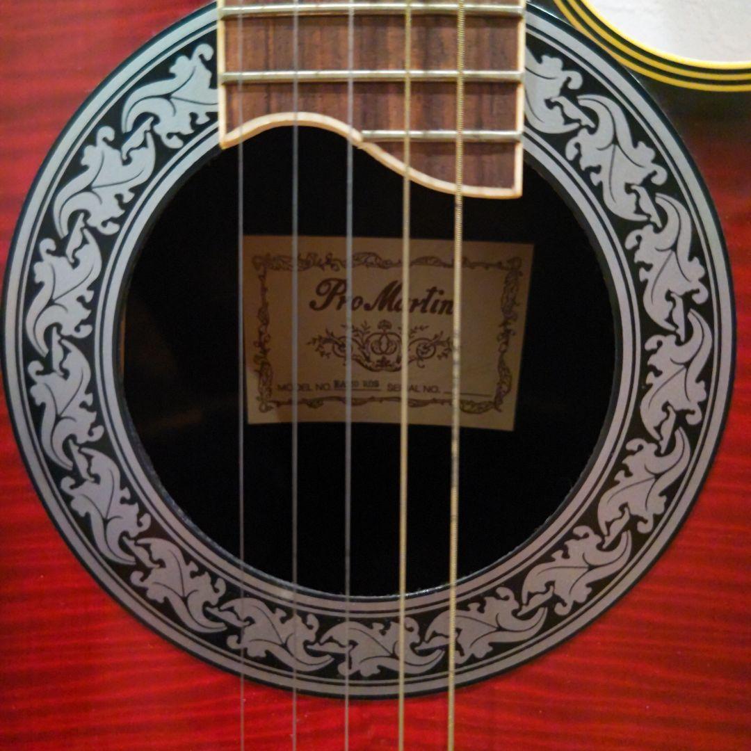海。Pro Martin アコースティックギター グラデーションレッド