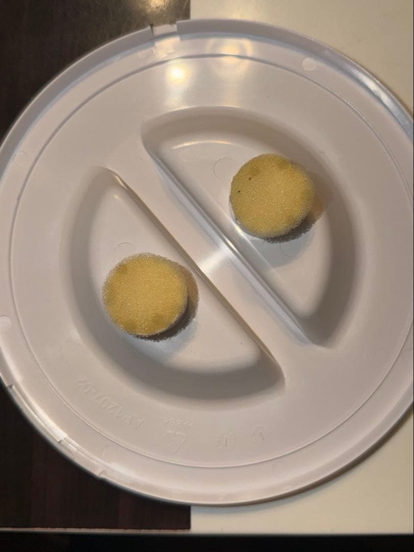 SchwarzWald UV-C空間除菌装置