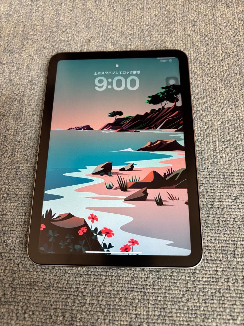 iPad mini 7 128GB Cellular SIMフリー +ケース