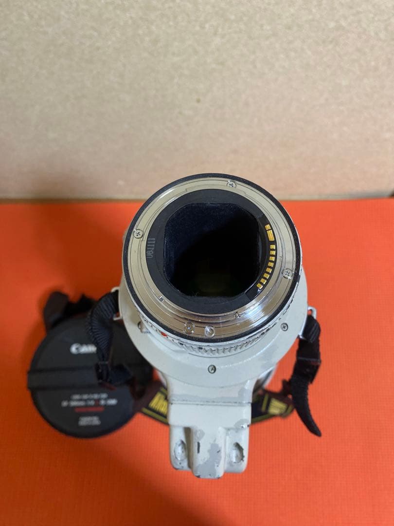 Canon 単焦点超望遠レンズ EF500mm F4L IS USM