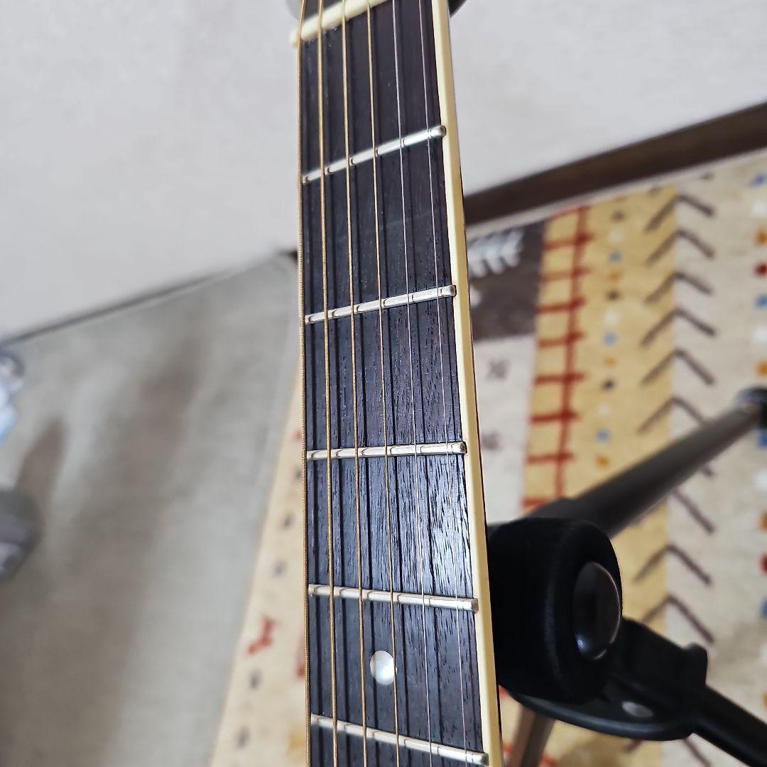 アリアD-30TAMA製グローバーペグ希少!最終価格