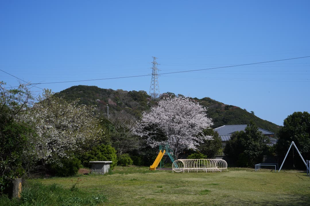 【最高の1本】Carl Zeiss Batis 40mm F2 CF付属品完備