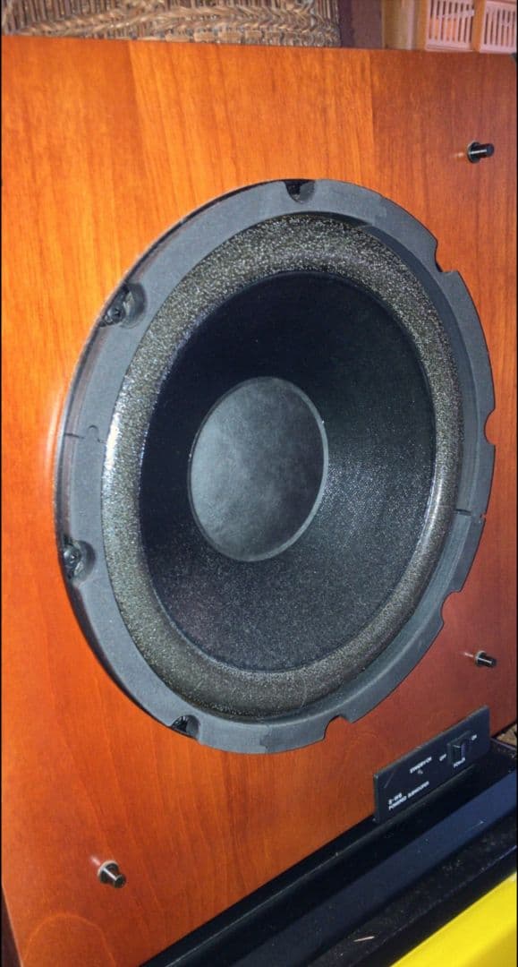 Pioneer パイオニア サブウーファー S-W6 スピーカー 楽器 音響